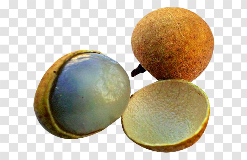 Fruit Longan - Vegetable Transparent PNG