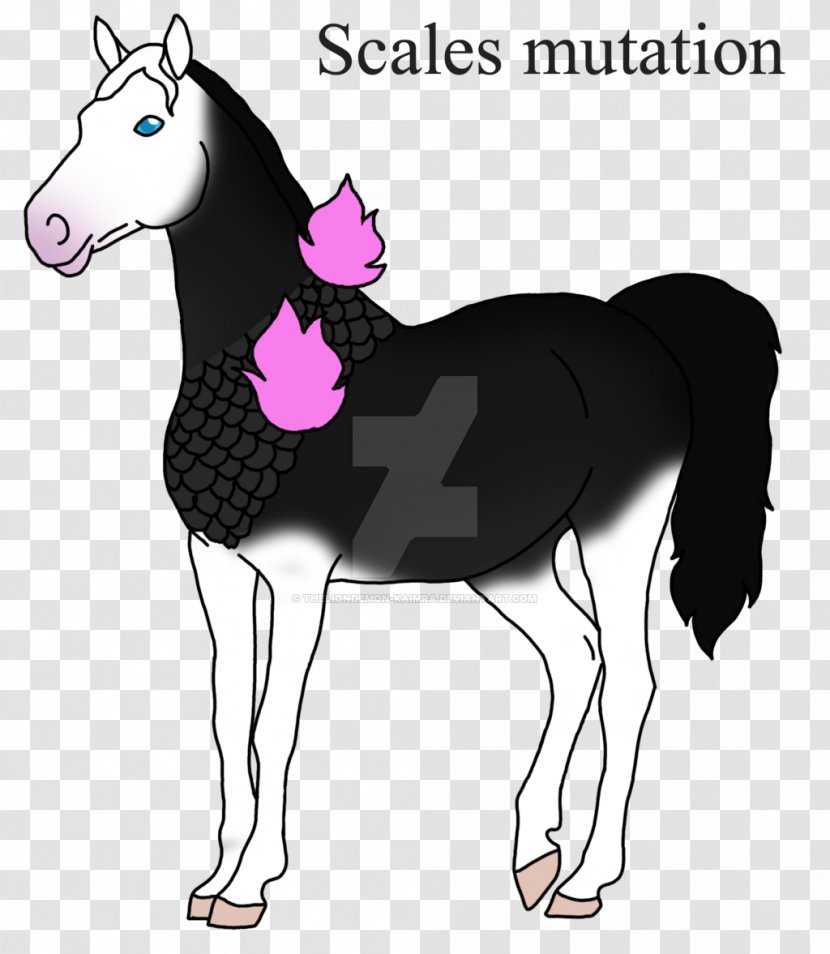 Mustang Foal Colt Stallion Halter - Character Transparent PNG