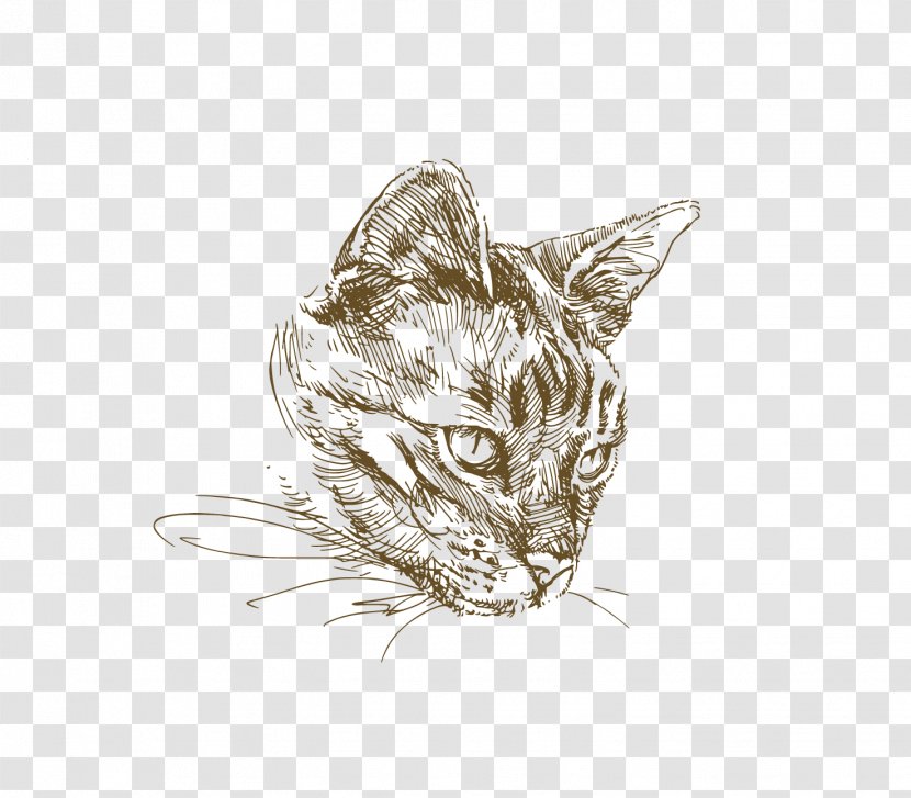 Cat Kitten Drawing Illustration - Mammal - Painted Transparent PNG