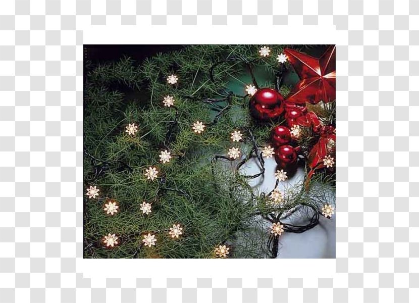 Christmas Tree Ornament Lights Flora Transparent PNG
