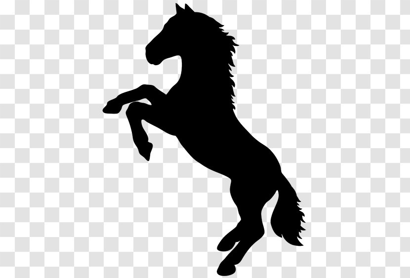 Horse Stallion Rearing Silhouette - Livestock Transparent PNG