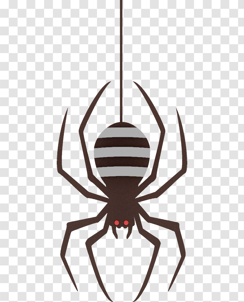 Spider Halloween Transparent PNG