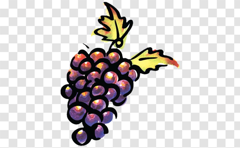 Pinot Noir Sonoma Valley Wine Grape Paso Robles - Grapevine Family - Santa Drinking Transparent PNG