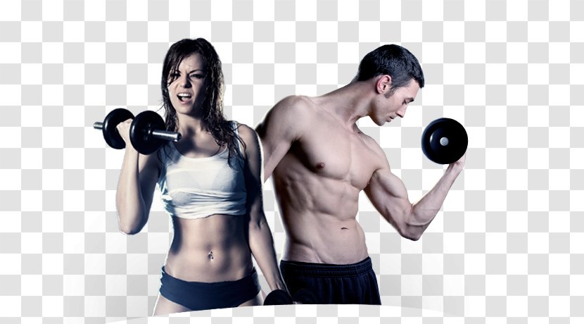 Physical Fitness Exercise Centre Weight Training Personal Trainer - Cartoon - Bodybuilding Transparent PNG