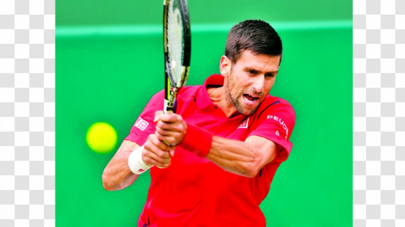 Racket Tennis Player Ball Game Sport - Sports - Novak Djokovic Transparent PNG