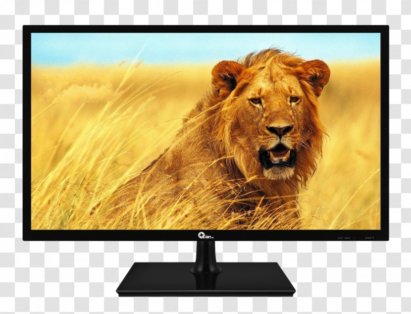 Computer Monitors VGA Connector LED-backlit LCD LED Display Video Electronics Standards Association - Television - Qian Transparent PNG