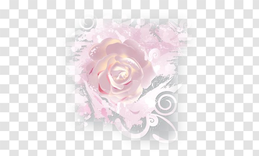 Garden Roses Cabbage Rose Floral Design Cut Flowers - Flower Transparent PNG