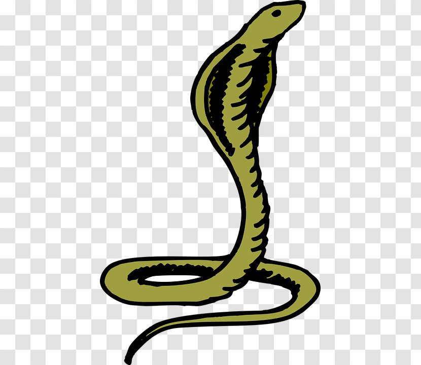 Snake Cobra Clip Art - King Transparent PNG
