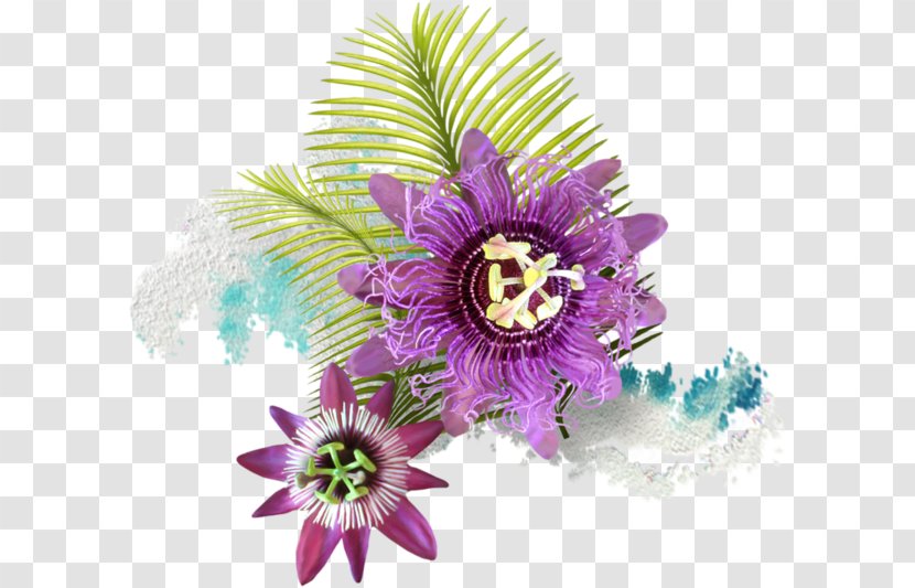 Passion Fruit Cut Flowers Petal - Flower Transparent PNG