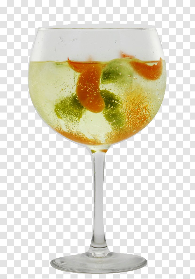 Cocktail Garnish Gin And Tonic Water - Snack Transparent PNG