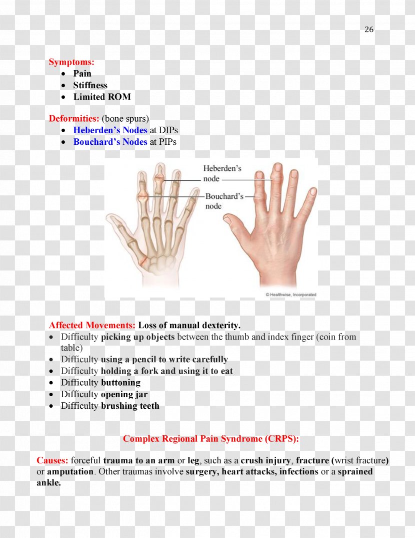 Bouchard's Nodes Heberden's Node Occupational Therapy Osteoarthritis Physical - Finger - Hand Transparent PNG