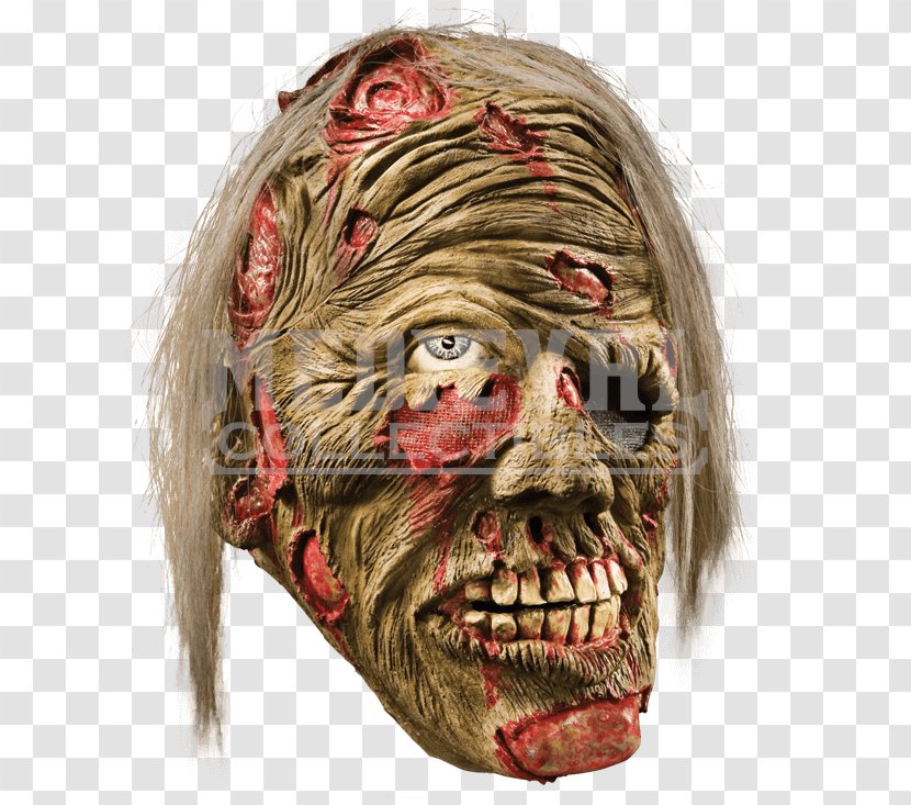 Mouth Mask Jaw Decomposition Face - Frame Transparent PNG