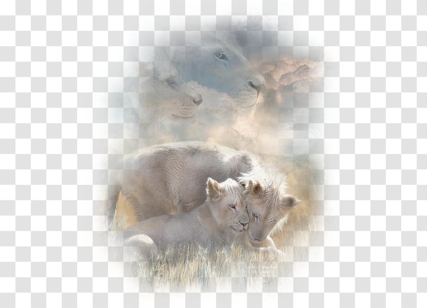 Lion Painting Whiskers Tiger Art Transparent PNG