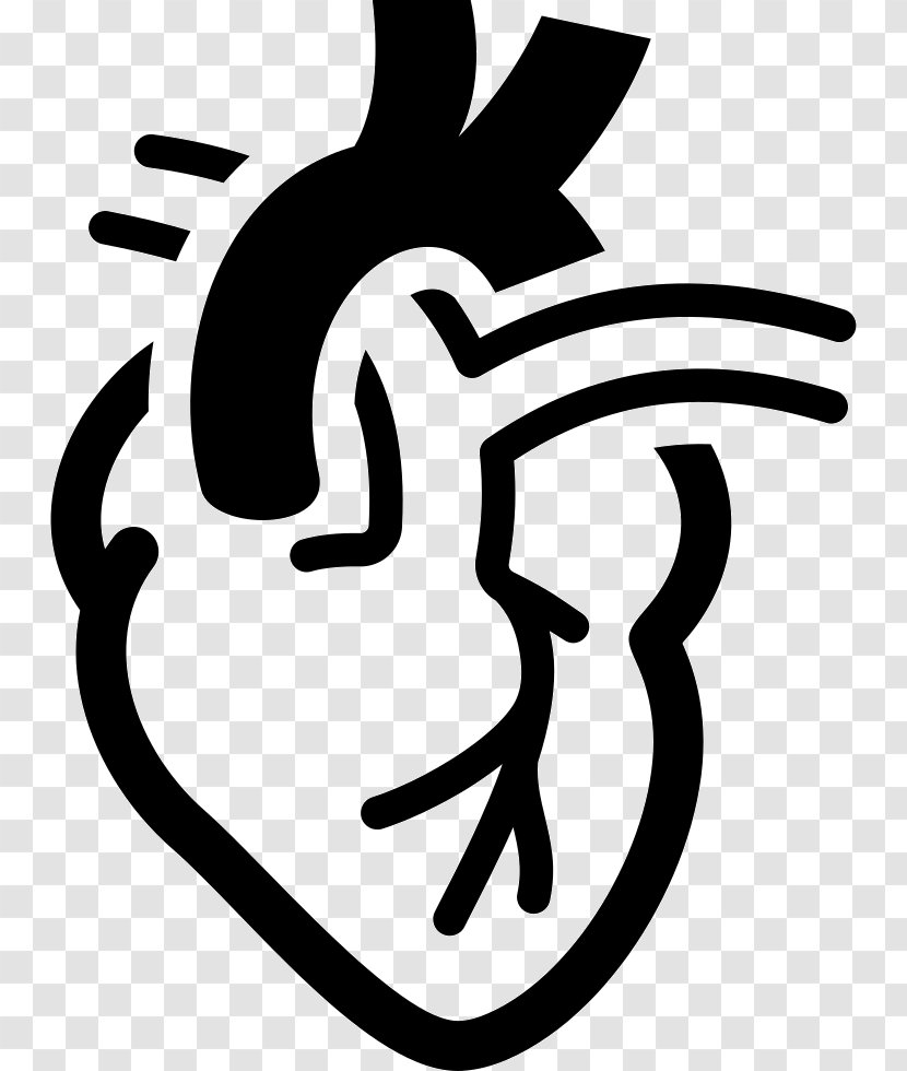 Cardiology Electrocardiography Medicine Heart Hemodynamics - Symbol Transparent PNG