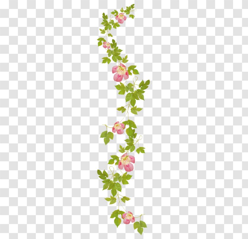 Floral Design Flower Drawing Clip Art - Branch Transparent PNG