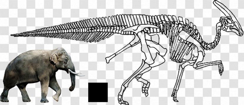 African Elephant Charonosaurus Indian Tyrannosaurus Ankylosaurus - Dinosaur Transparent PNG