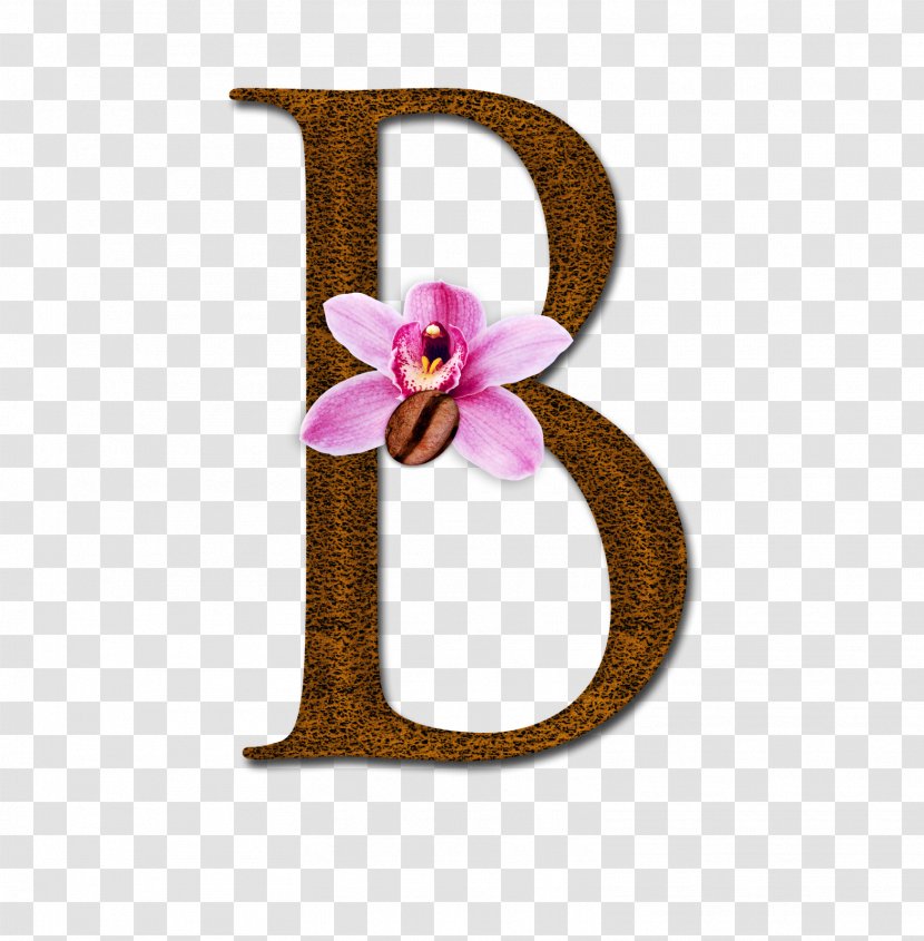 Alphabet Letter Ch I - Pink - B Transparent PNG