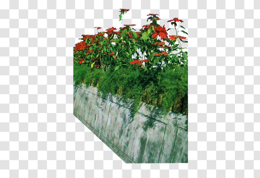 Flower Garden Plate-bande - Landscaping - Flowers Bed Transparent PNG