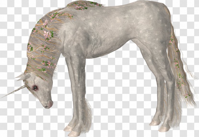 Horse Unicorn - Dog Breed Transparent PNG