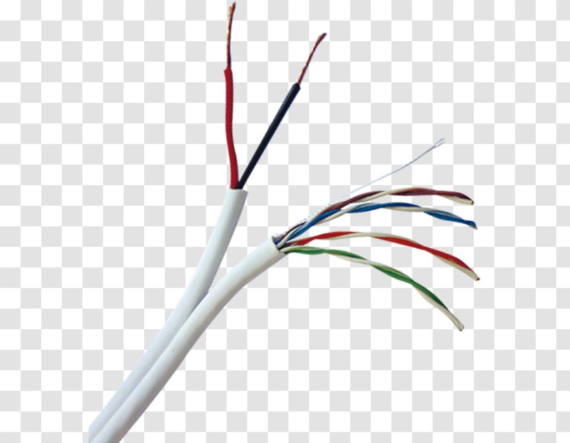 Category 5 Cable 6 Twisted Pair Electrical American Wire Gauge - Computer Network - Siamese Transparent PNG