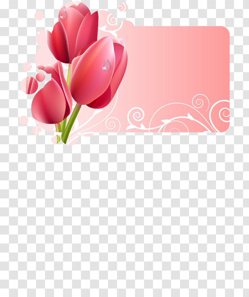 Flower Picture Frame Tulip Floral Design - Flowering Plant - Romantic Border Dialog Title Transparent PNG