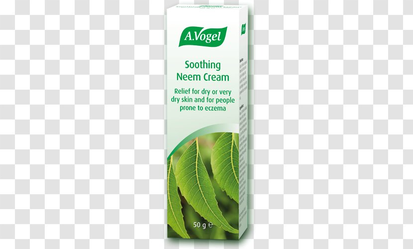 Neem Tree Skin Care Cream Tincture Oil - Herbal - Leaf Transparent PNG