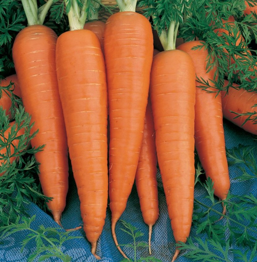 Carrot Danvers Organic Food Seed Vegetable - Juice Transparent PNG