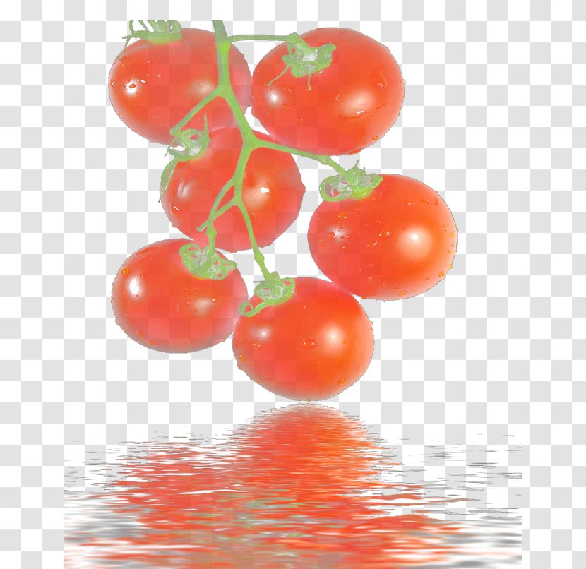 Plum Tomato Bush Natural Foods - Local Food - Fruit In Water Transparent PNG