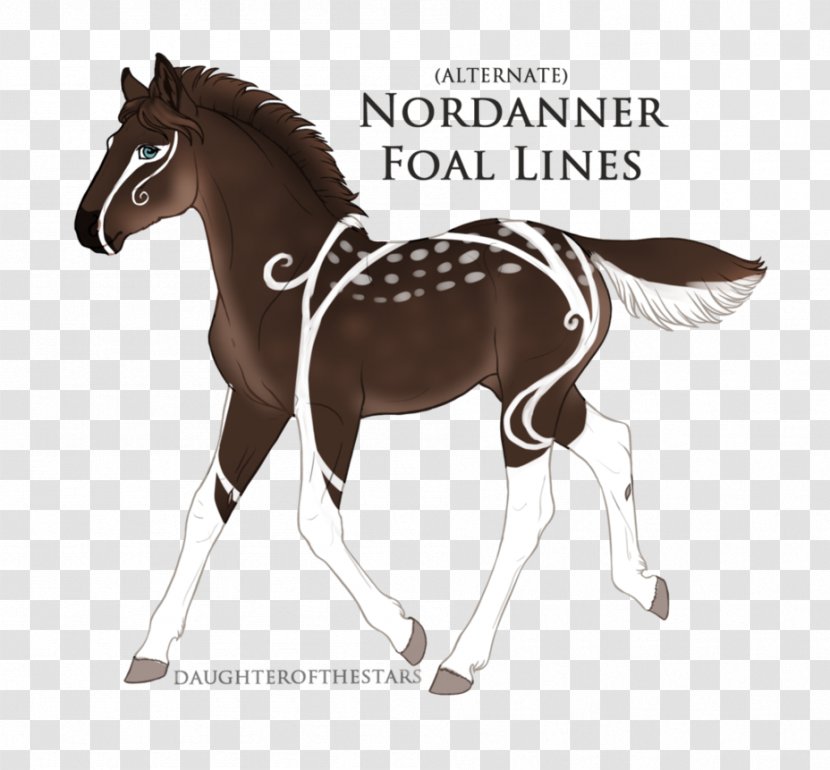 Stallion Foal Mustang Mare Pony - Rein Transparent PNG