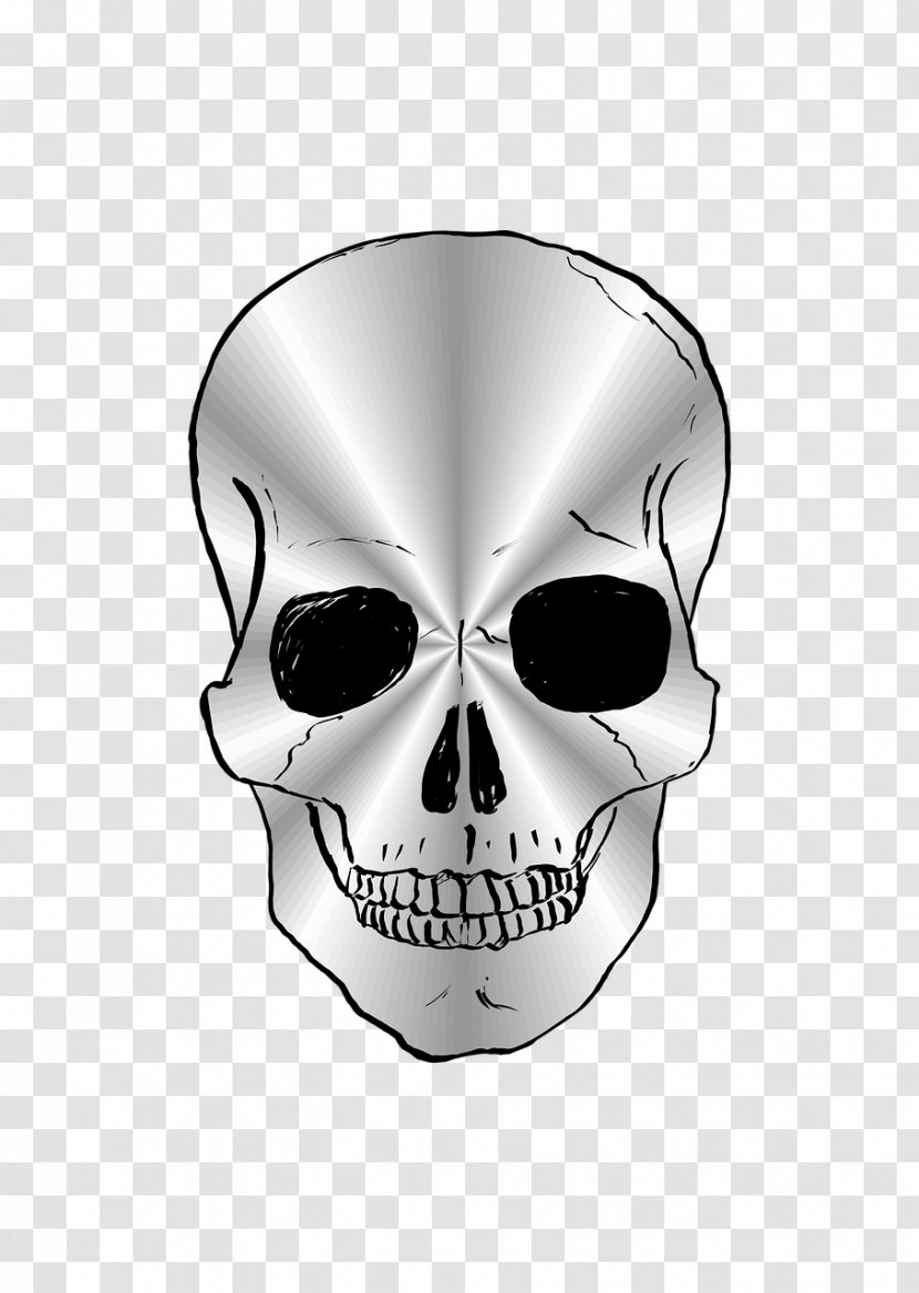 Skull Silver - Skeleton Transparent PNG