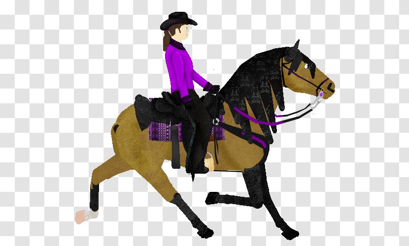 Western Pleasure Rein Mustang Equestrian Stallion - Riding Transparent PNG