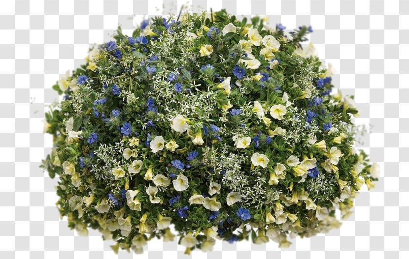 Floral Design Flower Bouquet Cut Flowers Blue Transparent PNG