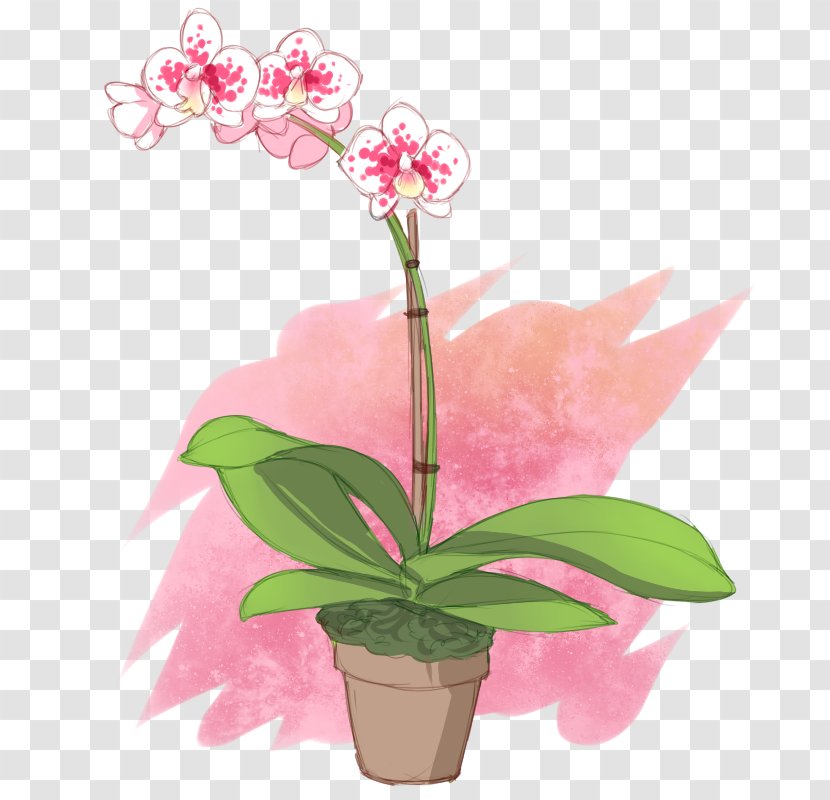 Moth Orchids Cut Flowers Floral Design Flowerpot - Pink M Transparent PNG
