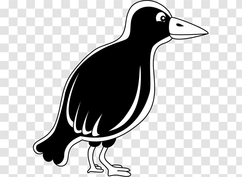 Clip Art Duck Illustration Crow Silhouette - Wildlife - Line Transparent PNG