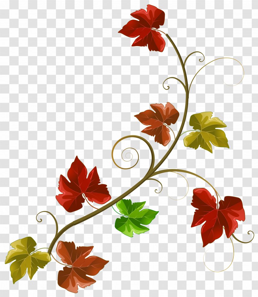 Autumn Clip Art - Plant - Leaves Decoration Clipart Image Transparent PNG