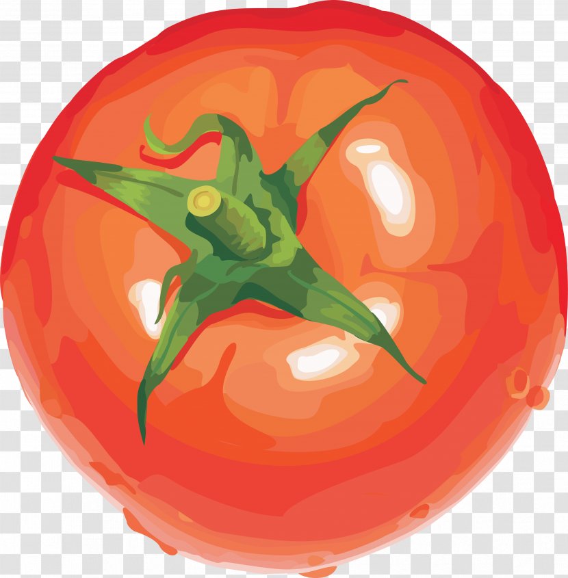 Vegetable Tomato Fruit Clip Art - Image Transparent PNG