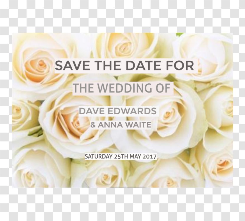 Wedding Invitation Save The Date Reception Personal Website - Rose Family Transparent PNG