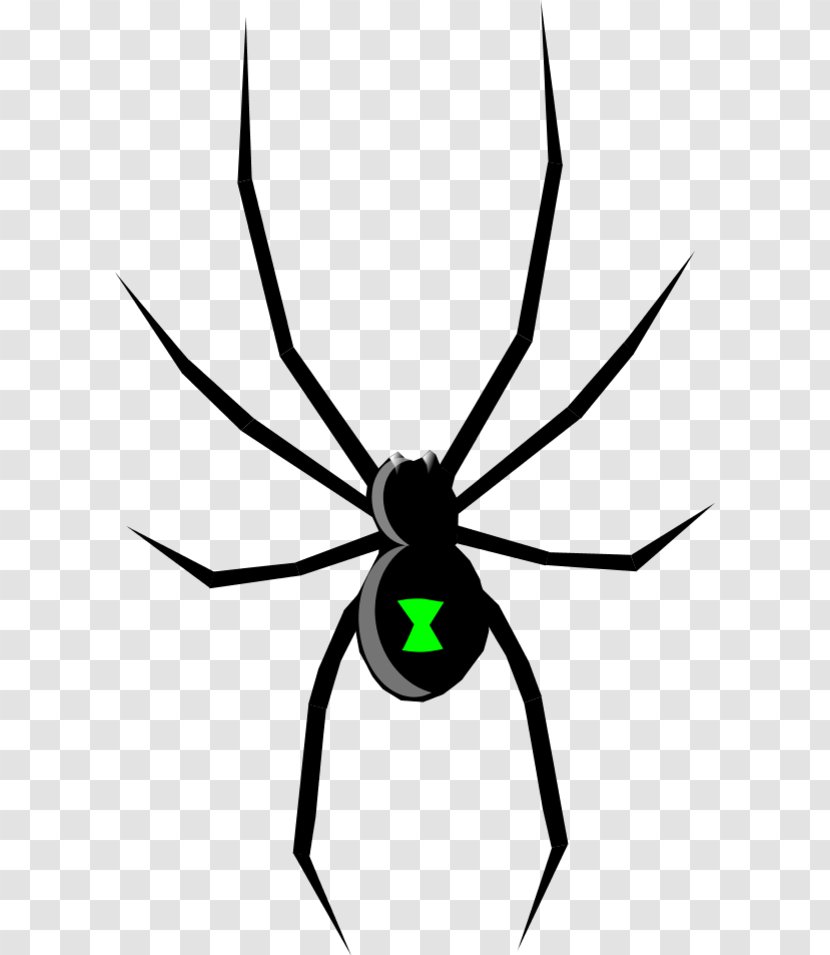 Black Widow Spider Drawing Clip Art - Tangle Web - Free Clipart Transparent PNG