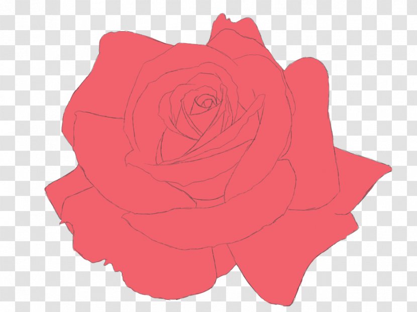 Garden Roses Cut Flowers Petal - Silhouette - Rose Transparent PNG