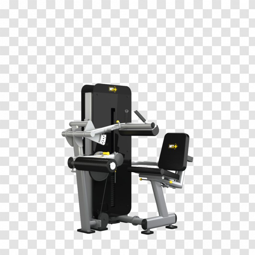 Squat Exercise Bodybuilding Bench Press Fitness Centre - Watercolor Transparent PNG