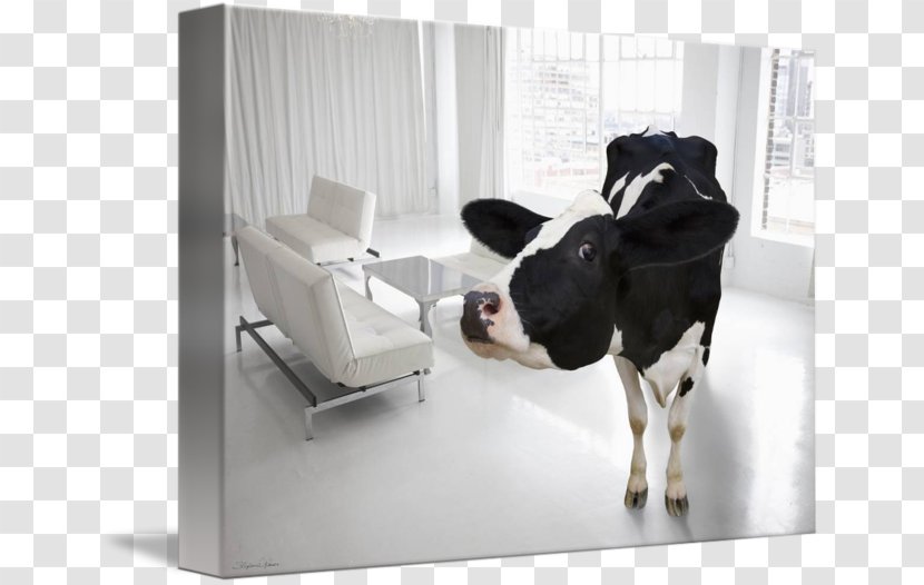 Dairy Cattle Dog Breed - Living Room Paintings Transparent PNG