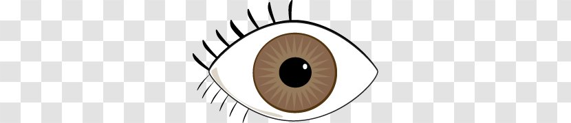 Eye Color Green Clip Art - Cartoon - Brown Cliparts Transparent PNG