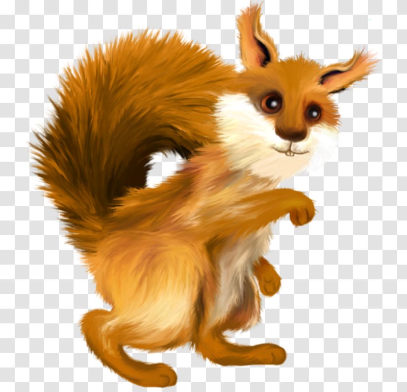 Red Fox PhotoScape Rodent Tree Squirrel - Carnivoran - Vo Transparent PNG