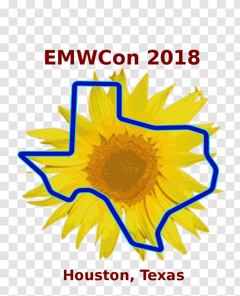 Common Sunflower Wikimedia Commons Foundation Wikipedia - Seed - Nutrition Month 2018 Logo Transparent PNG