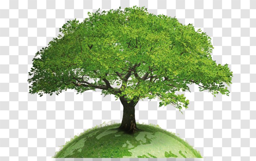 Earth World Tree Globe Global Warming - Climate Change Transparent PNG