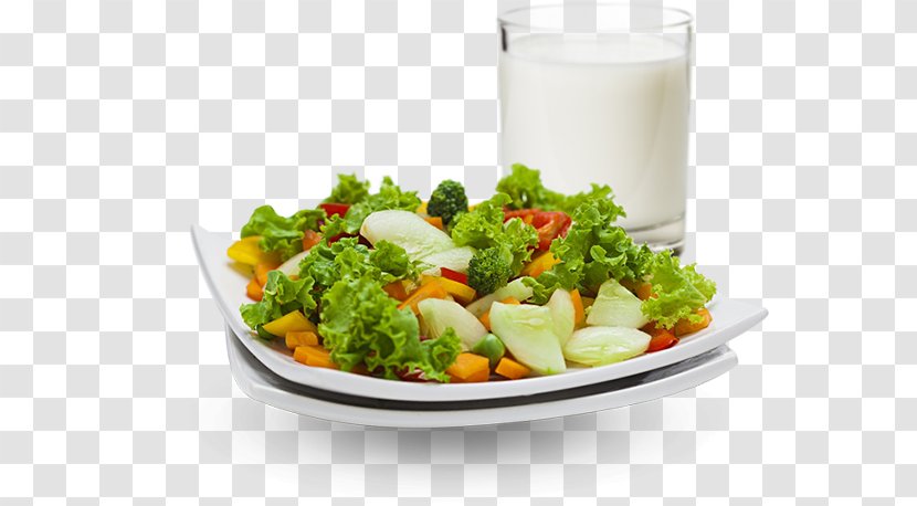 Health Food Nutrition Salad Bone - Woman Diet Transparent PNG