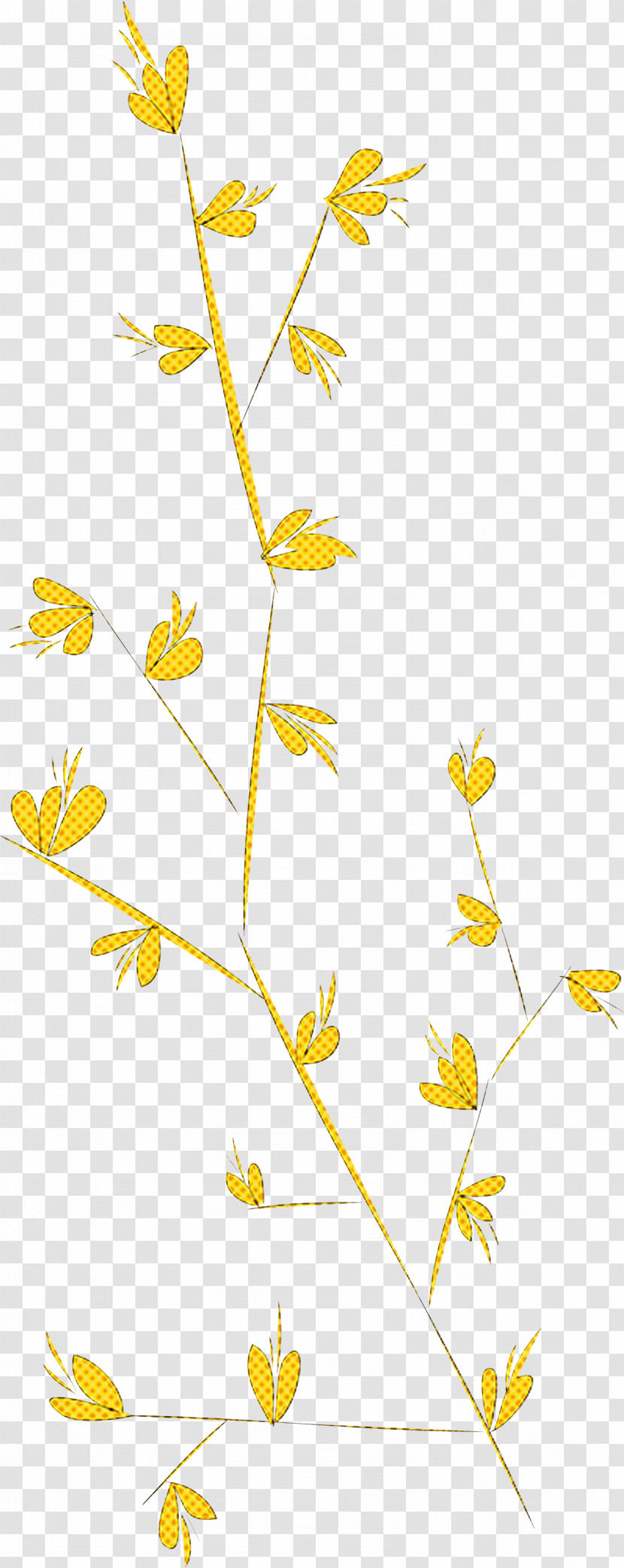 Simple Leaf Simple Leaf Drawing Simple Leaf Outline Transparent PNG