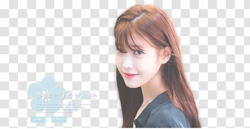 IU Moon Lovers: Scarlet Heart Ryeo Instiz Palette K-pop - Watercolor Transparent PNG