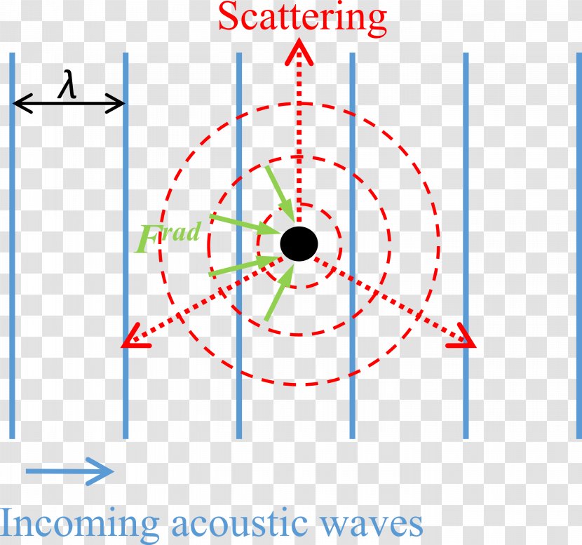 Acoustic Radiation Force Acoustics Tweezers Scattering Wave - Tree - Sound Transparent PNG