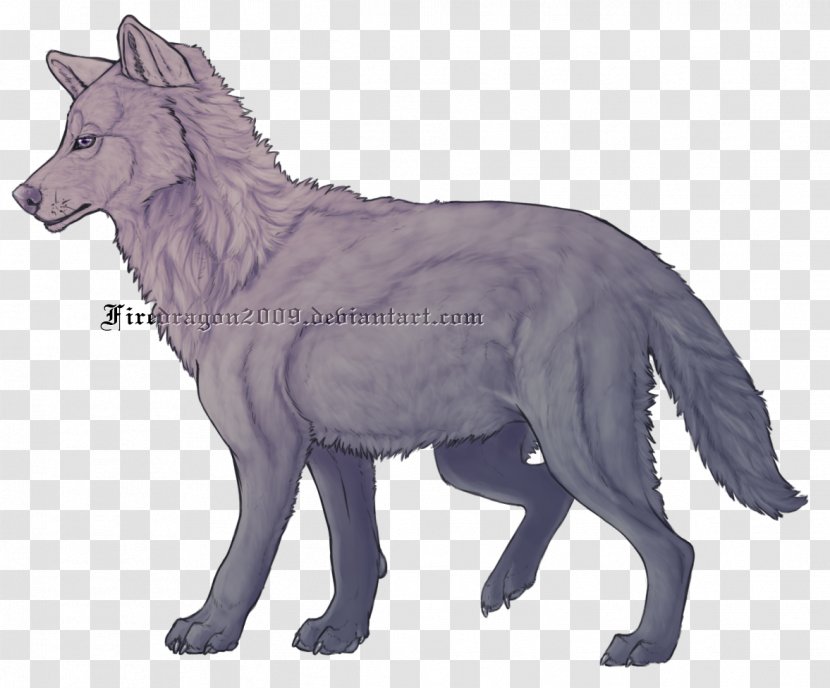Gray Wolf Coyote Fauna Wildlife Tail - Charachter Transparent PNG